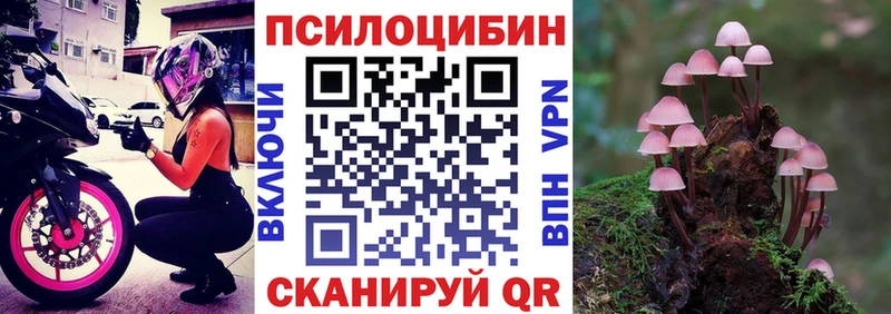 Купить закладки  Санкт-Петербург  Галлюциногенные грибы Psilocybine cubensis 